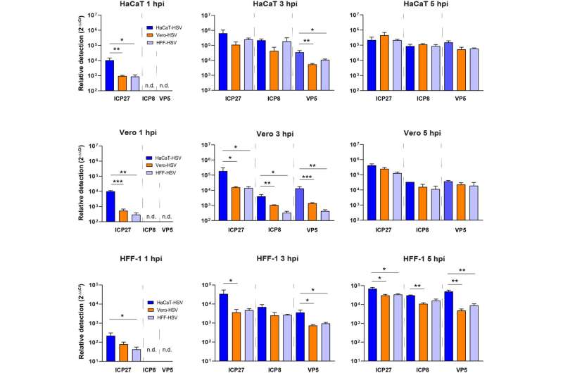 In new research, Montana State scientists explore how viruses replicate and infect